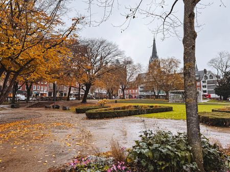 Verregneter Elisengarten im Herbst mit orangefarbenen Bäumen.