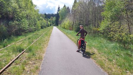 Eine Person fährt auf ihrem Fahrrad auf einem geteerten Weg neben einem Grünstreifen mit alten Bahnschienen und Bäumen.