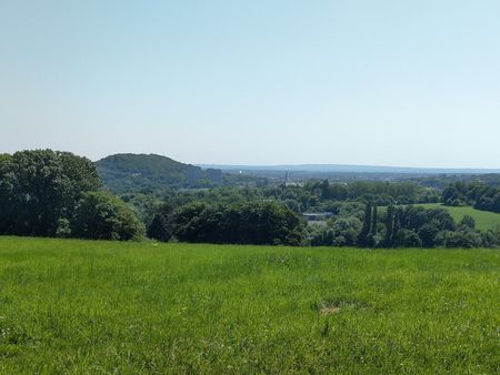 Grüne Wiese, Bäume und Sträucher unter blauem Himmel.