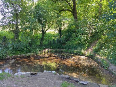 Umgeben von Bäumen befindet sich ein teichförmiges Naturbecken, das leicht mit Wasser gefüllt ist.