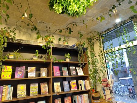 Bücherregal an einem bodentiefen Fenster mit grünen Pflanzenranken an Wand und Decke.