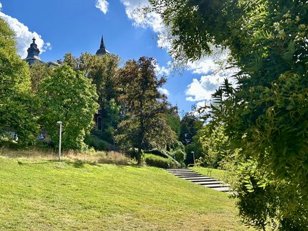 Kurpark in Burtscheid mit grünen Wiesen und Bäumen.