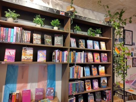 Bücherregal mit vielen bunten Büchern und Pflanzenranken um das Regal herum.